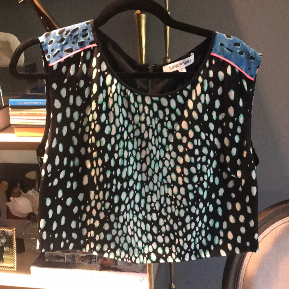 Elizabeth and James crop top